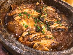 砂锅蝶鱼头-新海渔港·胶东海鲜家常菜·家宴(奥体中心店)