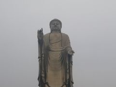 -中原大佛景区