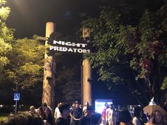 -清迈夜间动物园