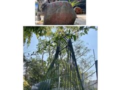 -一寨两国风景区