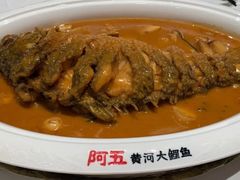 -阿五黄河大鲤鱼(海尚店)