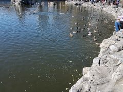 -团结湖公园