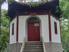 -上海佘山国家森林公园天马山园