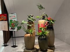 -西湖春天•老字号杭州菜(百汇店)