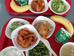 -上海科学技术职业学院