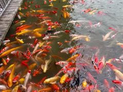 -泰安地下龙宫景区