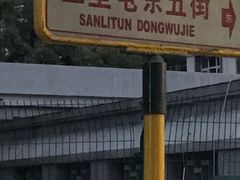 -三里屯东五街银杏大道