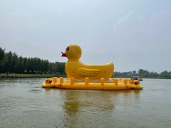 -野鸭湖国家湿地公园