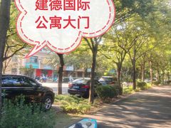 -新江湾城公园