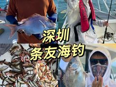-东山码头