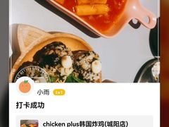 -chicken plus韩国炸鸡(城阳店)