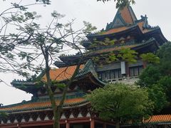 -顺峰山公园