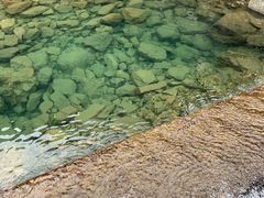 -宁波五龙潭景区