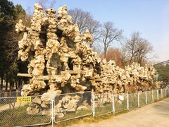 -保定市动物园