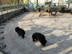 -西安秦岭野生动物园