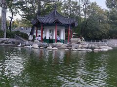 -莲湖公园