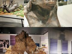 -北京周口店北京人遗址博物馆