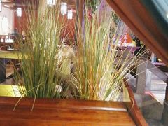 -解家河南菜(金水路店)