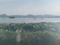 -湖畔居茶楼(湖滨店)