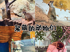 -正佳雨林生态植物园
