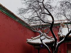 -故宫博物院(故宫)