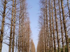 -嘉北郊野公园
