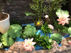 -九田家黑牛烤肉料理(太阳城店)