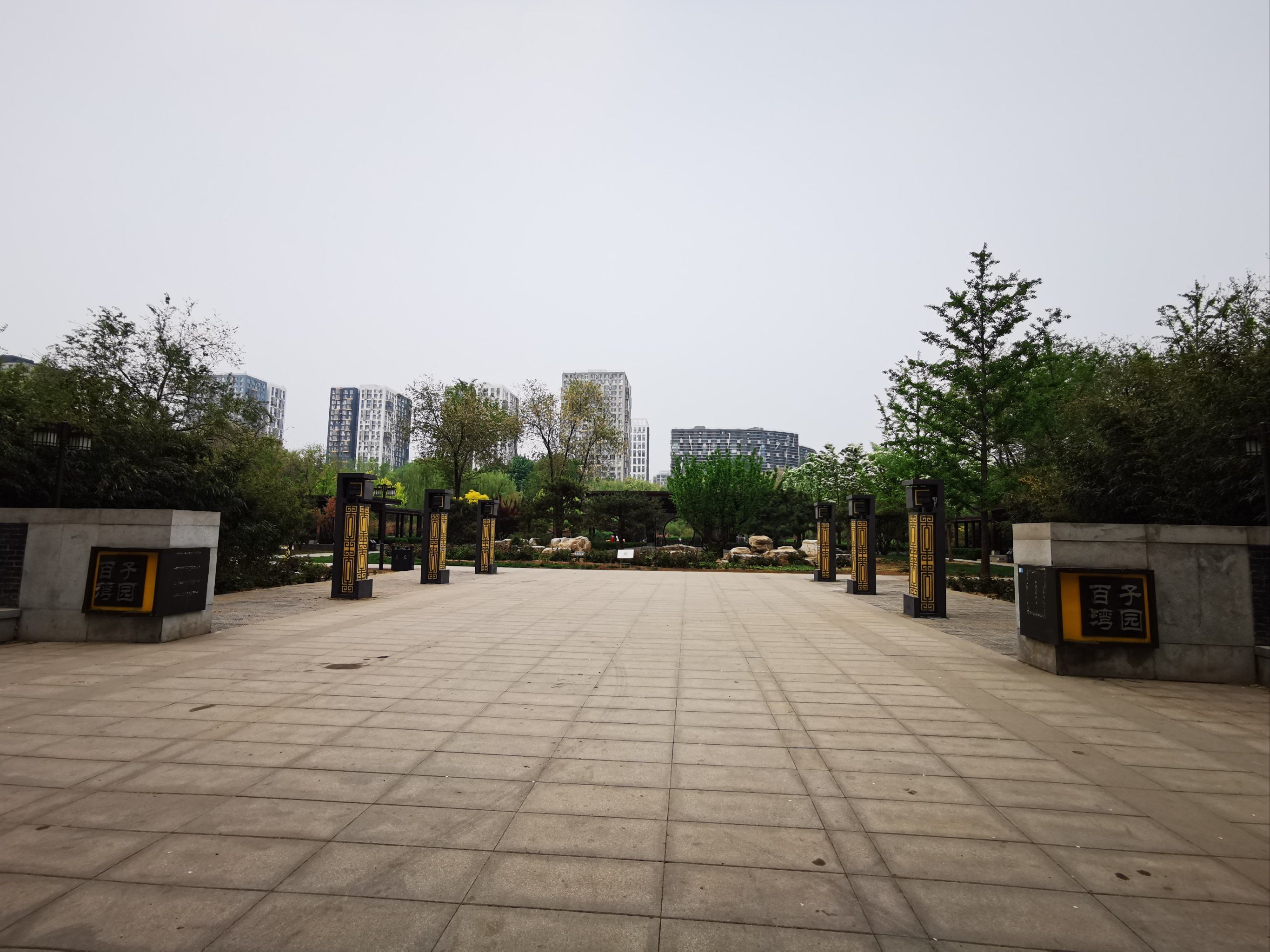 春季赏花 #逛公园 曾经因公在某个冬季,经常路过百子湾园,人少风冷