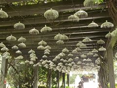 -白马涧龙池景区