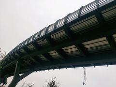 -王借岗森林公园