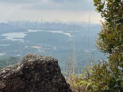 -阳台山森林公园