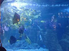 -烟台海昌鲸鲨海洋公园