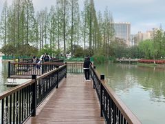 -黄兴公园