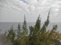 -广东惠东海龟国家级自然保护区