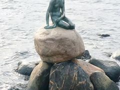 -美人鱼