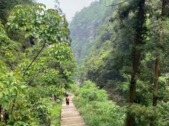 -雁荡山风景名胜区