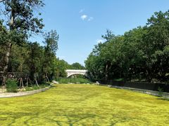 -白水寺森林公园