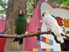 -北京野生动物园