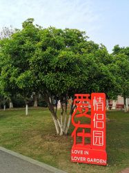 -玄武湖景区-情侣园游乐场