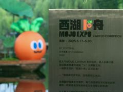 -西湖游船