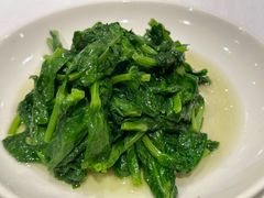 酒香豆苗-老吉士酒家(天平路店)