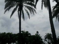 -鹅銮鼻公园