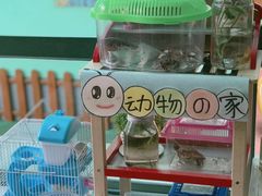 -上海市白玉兰幼儿园