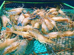 -七鲜超市(万向城店)