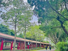 -顺峰山公园
