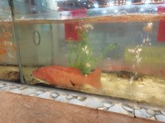 -巽寮印象美食部落餐厅·海鲜·地方特色菜(惠州体验店)