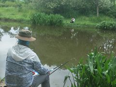 -新江湾城公园