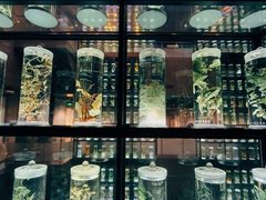 -广东中医药博物馆