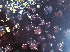 -随柳居·苏式小吃(建新巷店)