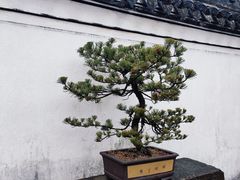 -王阳明故居
